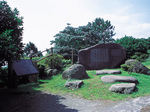 22011629_1733_2.jpg